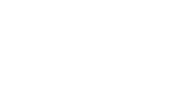 GOWI Agency